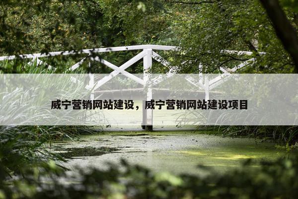 威宁营销网站建设，威宁营销网站建设项目
