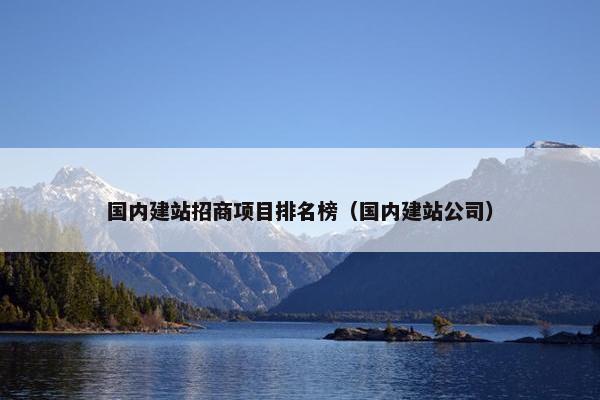 国内建站招商项目排名榜（国内建站公司）