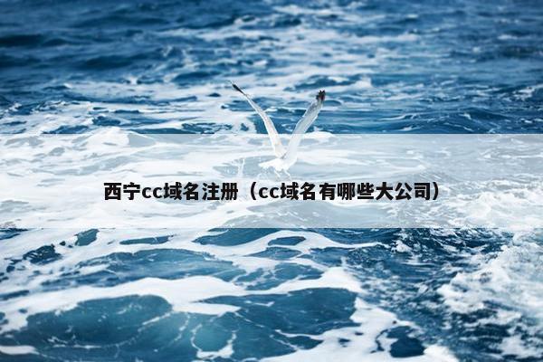 西宁cc域名注册（cc域名有哪些大公司）