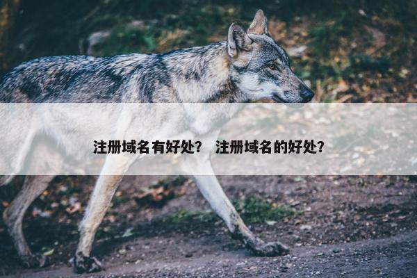 注册域名有好处？ 注册域名的好处？