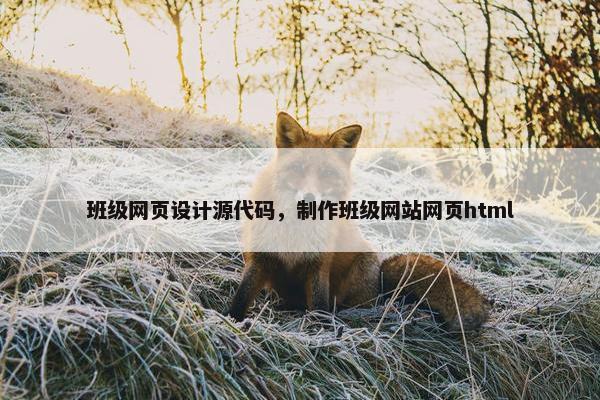 班级网页设计源代码，制作班级网站网页html