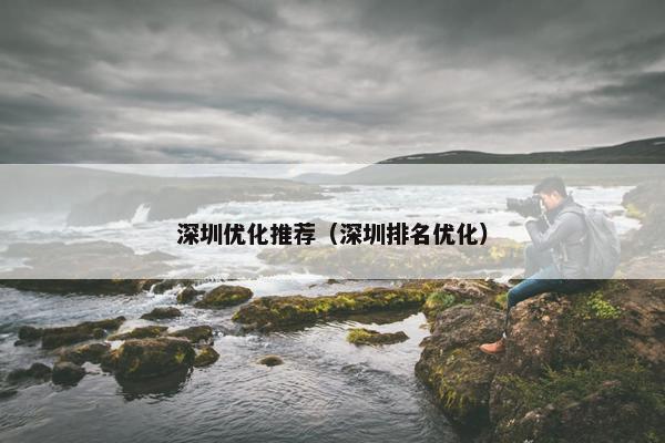 深圳优化推荐（深圳排名优化）