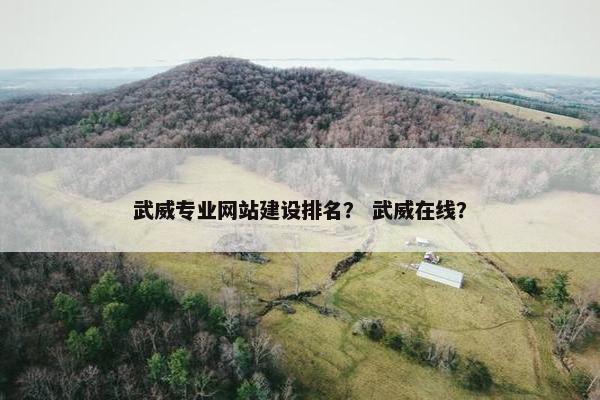 武威专业网站建设排名？ 武威在线？