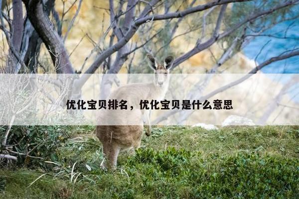 优化宝贝排名，优化宝贝是什么意思