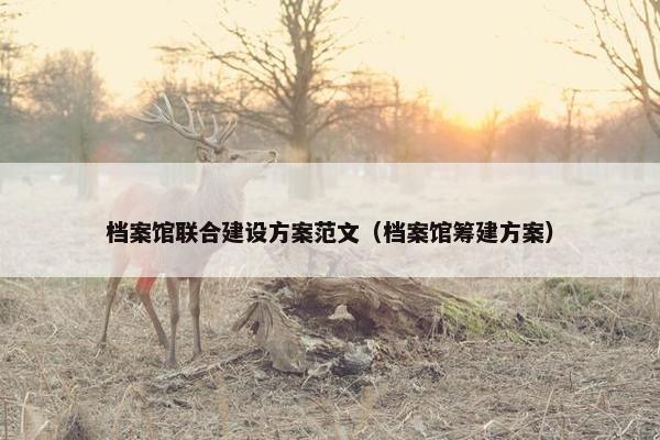 档案馆联合建设方案范文（档案馆筹建方案）