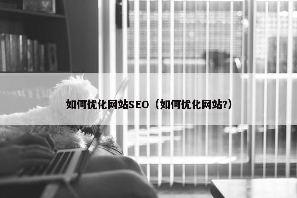 如何优化网站SEO（如何优化网站?）