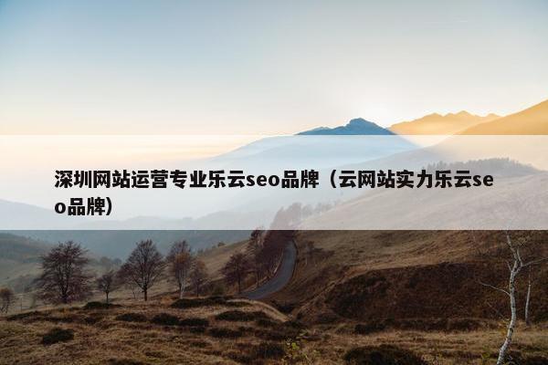 深圳网站运营专业乐云seo品牌（云网站实力乐云seo品牌）