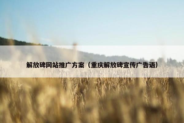 解放碑网站推广方案（重庆解放碑宣传广告语）