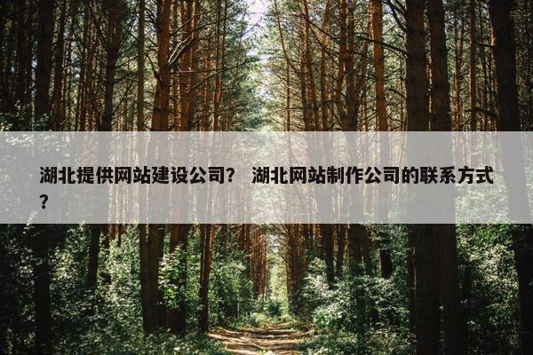 湖北提供网站建设公司？ 湖北网站制作公司的联系方式？
