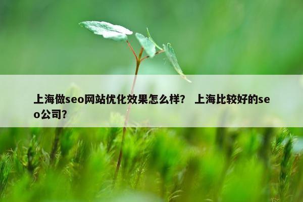 上海做seo网站优化效果怎么样？ 上海比较好的seo公司？