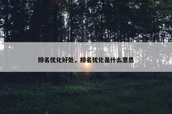 排名优化好处，排名优化是什么意思