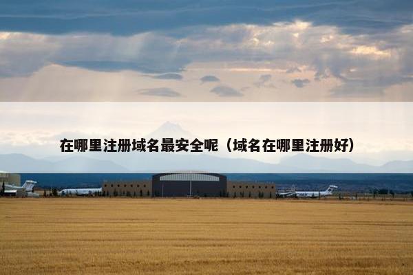 在哪里注册域名最安全呢（域名在哪里注册好）