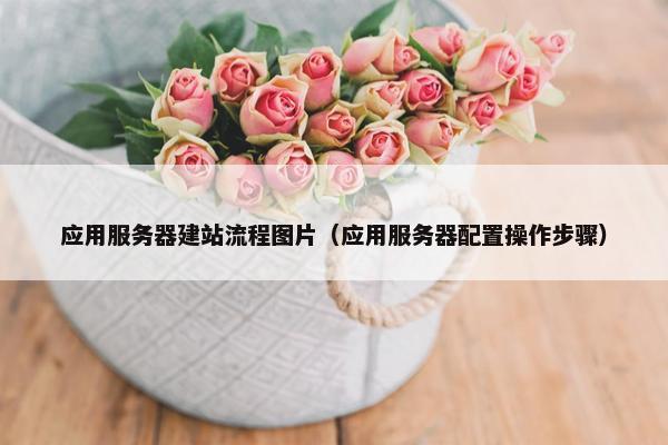 应用服务器建站流程图片（应用服务器配置操作步骤）