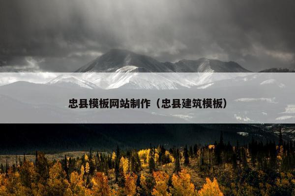 忠县模板网站制作（忠县建筑模板）