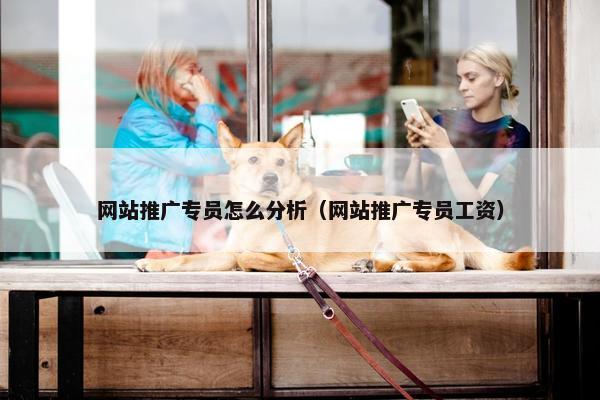 网站推广专员怎么分析（网站推广专员工资）