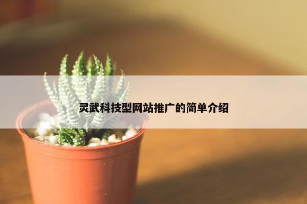 灵武科技型网站推广的简单介绍