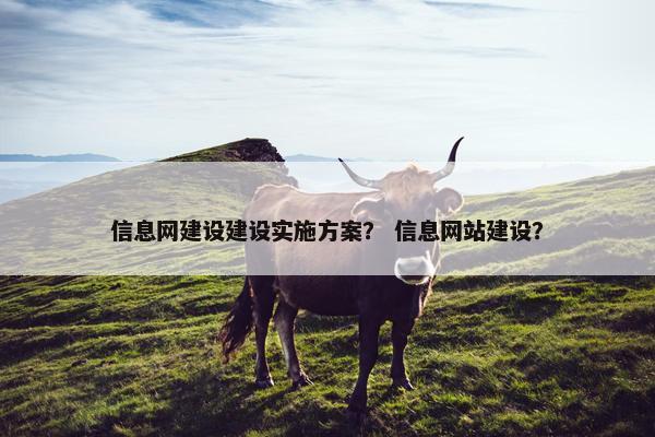 信息网建设建设实施方案？ 信息网站建设？