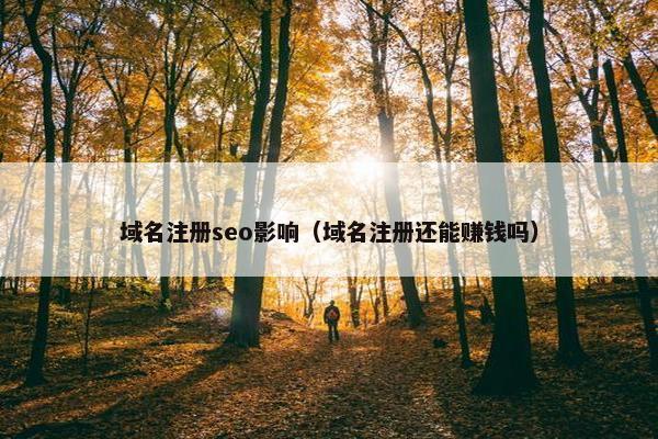 域名注册seo影响(域名注册还能赚钱吗) 域名注册seo影响(域名注册还能赚钱吗)