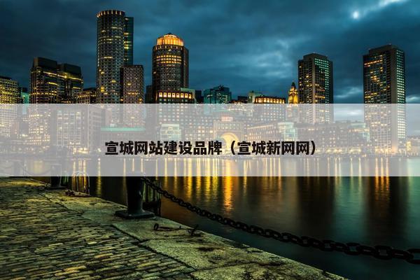 宣城网站建设品牌（宣城新网网）