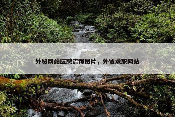 外贸网站应聘流程图片，外贸求职网站