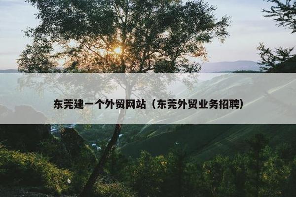 东莞建一个外贸网站（东莞外贸业务招聘）