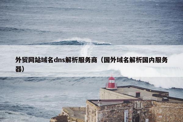 外贸网站域名dns解析服务商（国外域名解析国内服务器）