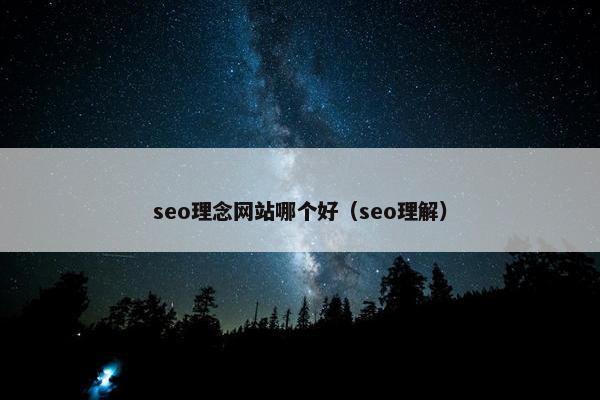 seo理念网站哪个好（seo理解）