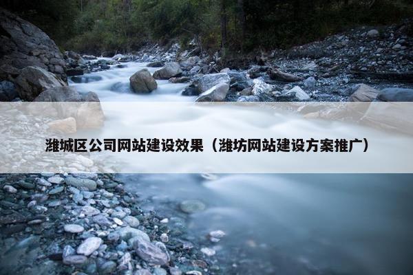 潍城区公司网站建设效果（潍坊网站建设方案推广）