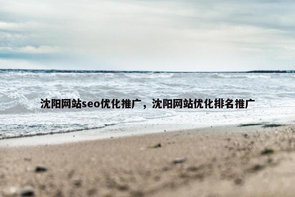 沈阳网站seo优化推广，沈阳网站优化排名推广