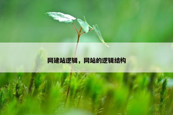 网建站逻辑,网站的逻辑结构 网建站逻辑,网站的逻辑结构
