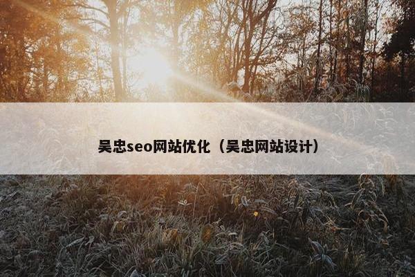 吴忠seo网站优化（吴忠网站设计）