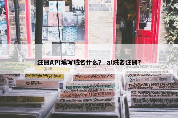 注册API填写域名什么？ al域名注册？