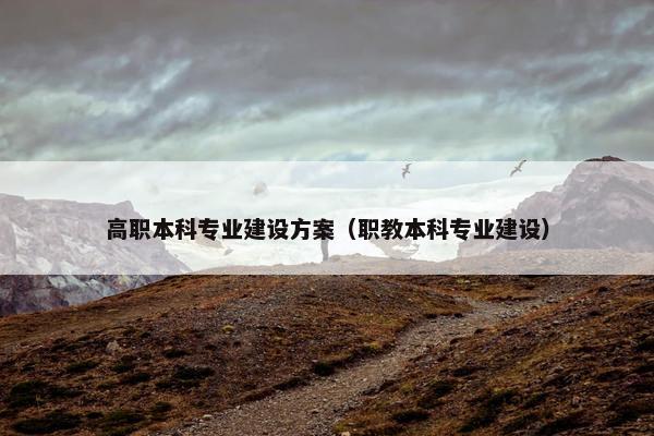 高职本科专业建设方案(职教本科专业建设)