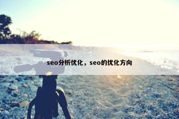 seo分析优化，seo的优化方向