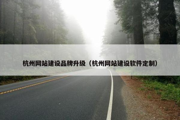 杭州网站建设品牌升级（杭州网站建设软件定制）