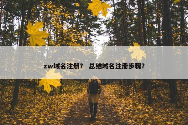 zw域名注册？ 总结域名注册步骤？