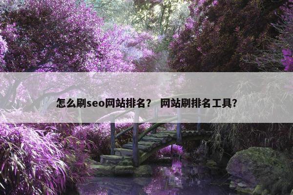 怎么刷seo网站排名？ 网站刷排名工具？