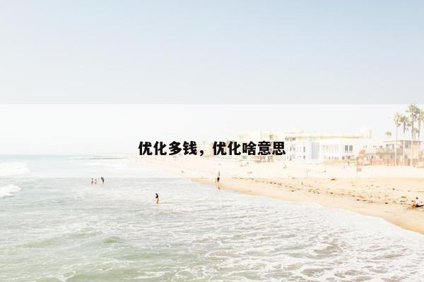 优化多钱，优化啥意思