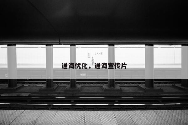 通海优化，通海宣传片