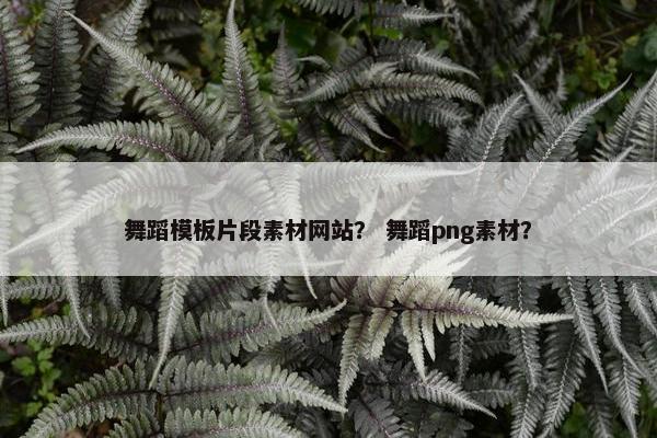 舞蹈模板片段素材网站？ 舞蹈png素材？
