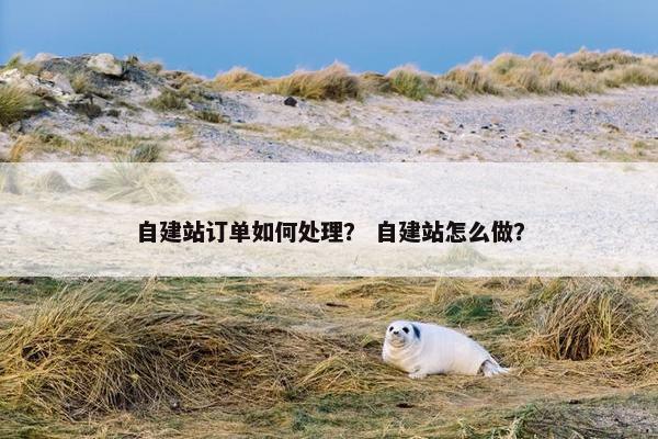 自建站订单如何处理？ 自建站怎么做？