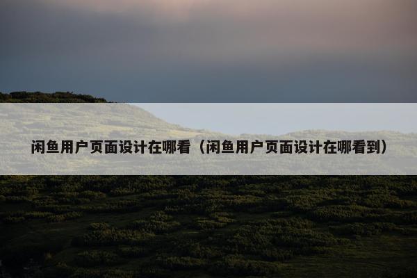 闲鱼用户页面设计在哪看（闲鱼用户页面设计在哪看到）
