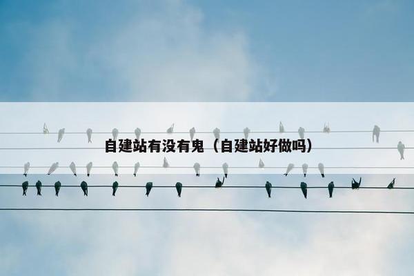 自建站有没有鬼（自建站好做吗）