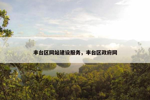 丰台区网站建设服务，丰台区政府网