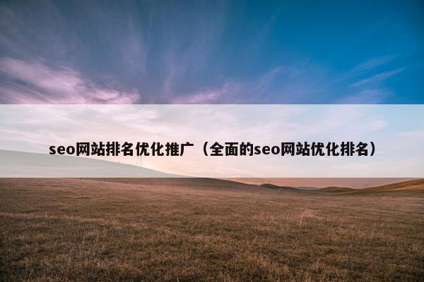 seo网站排名优化推广（全面的seo网站优化排名）
