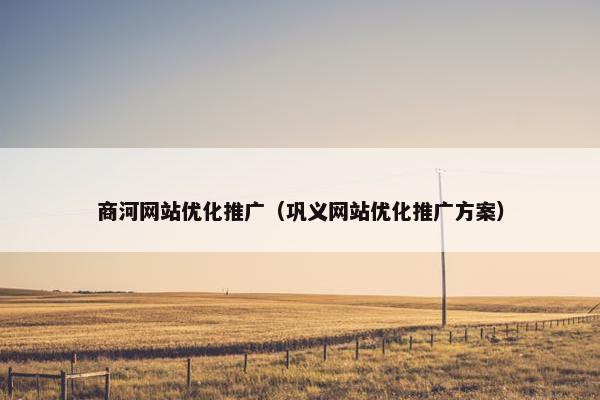 商河网站优化推广（巩义网站优化推广方案）