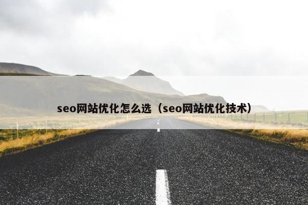 seo网站优化怎么选（seo网站优化技术）