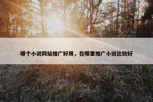 哪个小说网站推广好用，在哪里推广小说比较好