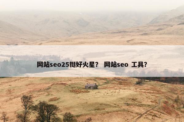 网站seo25挺好火星？ 网站seo 工具？