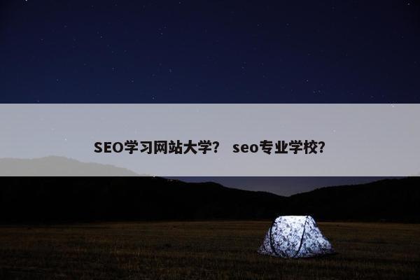 SEO学习网站大学? seo专业学校? SEO学习网站大学? seo专业学校?